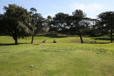 Enlarge photo 91