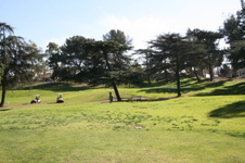 Enlarge photo 93
