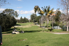 Enlarge photo 94