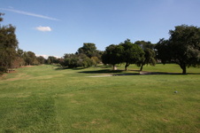 Enlarge photo 95