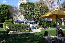 Enlarge photo 96