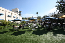 Enlarge photo 98