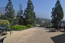 Enlarge photo 73