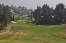 Enlarge photo 81