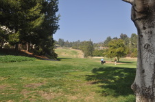 Enlarge photo 82