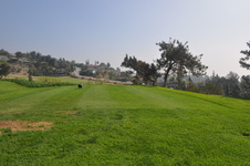 Enlarge photo 84