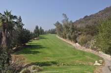 Enlarge photo 90
