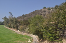 Enlarge photo 91