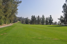 Enlarge photo 93