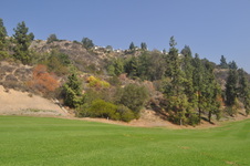 Enlarge photo 97