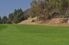 Enlarge photo 98