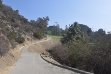 Enlarge photo 99