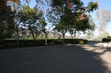 Enlarge photo 30