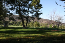 Enlarge photo 31