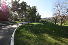 Enlarge photo 37