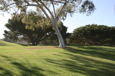 Enlarge photo 50