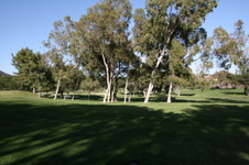 Enlarge photo 51