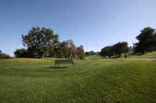 Enlarge photo 52