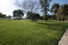 Enlarge photo 54