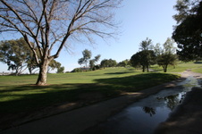 Enlarge photo 55