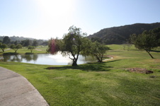 Enlarge photo 59