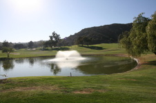 Enlarge photo 62