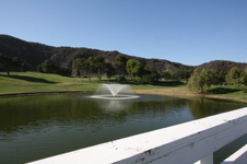 Enlarge photo 64