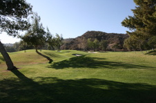 Enlarge photo 65
