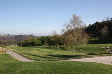 Enlarge photo 71