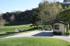 Enlarge photo 72
