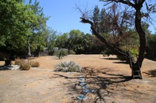 22856 Oxnard Street, Woodland Hills