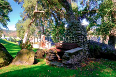 Enlarge photo 18