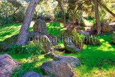 Enlarge photo 19