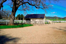 Enlarge photo 29