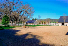 Enlarge photo 33