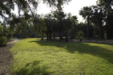 Enlarge photo 19