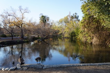 Enlarge photo 37