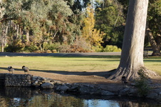 Enlarge photo 38
