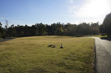 Enlarge photo 40