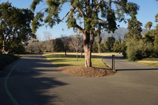 Enlarge photo 42