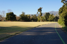 Enlarge photo 43