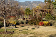 Enlarge photo 47