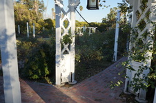 Enlarge photo 54