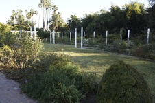 Enlarge photo 57