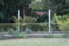 Enlarge photo 59