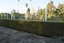 Enlarge photo 61