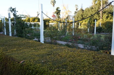 Enlarge photo 62
