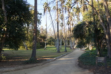 Enlarge photo 63