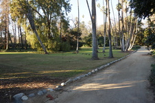 Enlarge photo 64