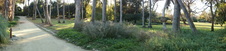 Enlarge photo 66
